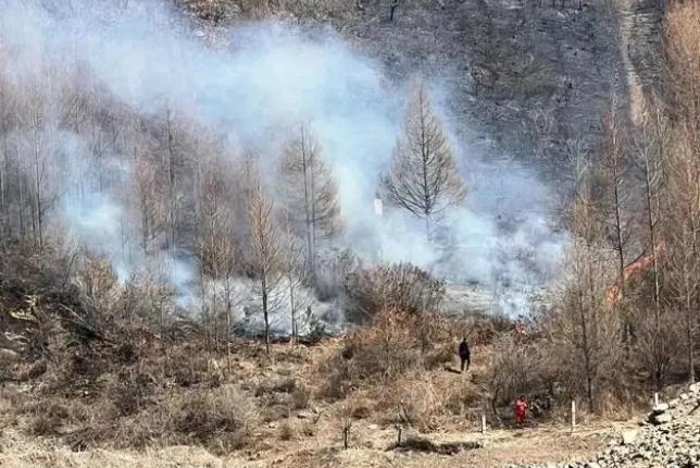 明火已撲滅，初步判斷由祭祀用火引發(fā)！今年已發(fā)生多起